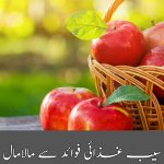 سیب غذائی فوائد سے مالامال (ngthoughts.com)