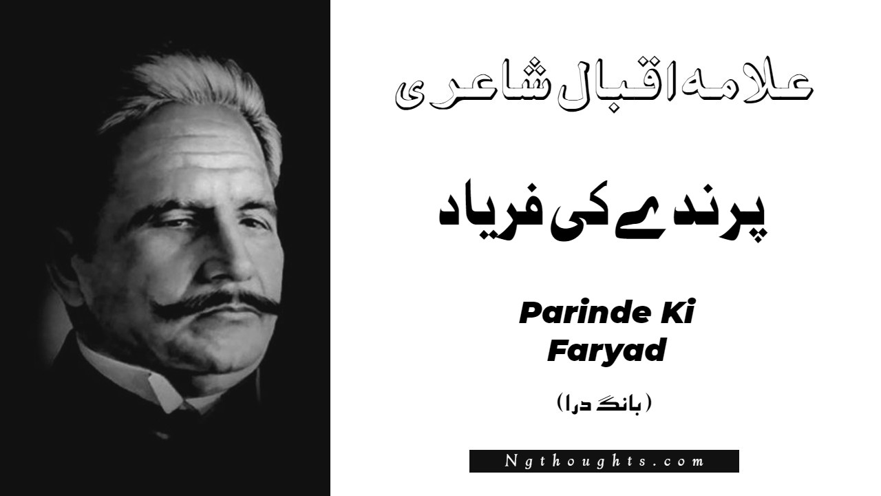 Parinde Ki Faryad- Bang-e-Dara | Allama Iqbal Poetry | پرندے کی فرياد