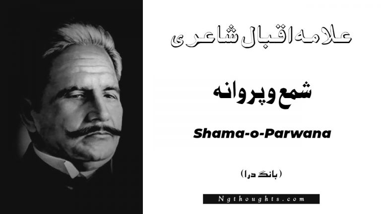 Shama-o-Parwana- Bang-e-Dara | Allama Iqbal Poetry |شمع و پروانہ