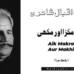 Aik Makra Aur Makhi - Bang-e-Dara | Allama Iqbal Poetry | ايک مکڑا اور مکھی
