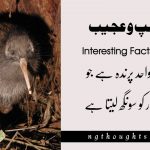 Weird and Interesting Facts in Urdu