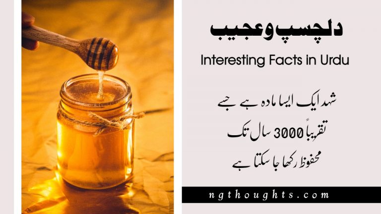 25 Interesting Facts in Urdu That Will Amaze You