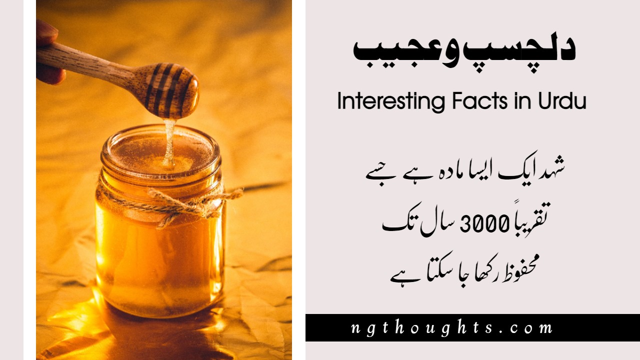 25 Interesting Facts in Urdu That Will Amaze You NG Thoughts