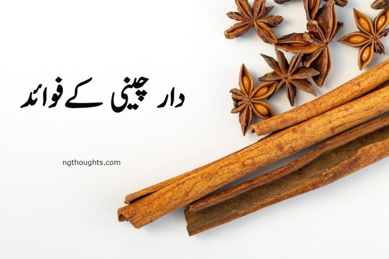 Dar Cheeni Kay Faiday | دار چینی کےفوائد