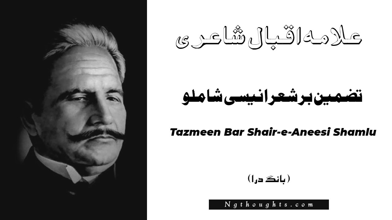 Tazmeen Bar Shair-e-Aneesi Shamlu- Bang-e-Dara | Allama Iqbal Poetry | تضمين بر شعر انيسی شاملو