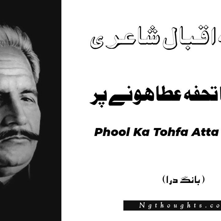Phool Ka Tohfa Atta Hone Par- Bang-e-Dara | Allama Iqbal Poetry | پھول کا تحفہ عطا ہونے پر