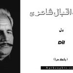 Dil- Bang-e-Dara | Allama Iqbal Poetry | دل
