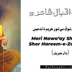 Meri Nawa-e-Shauk Se Shor Hareem-e-Zaat Mein - Allama Iqbal