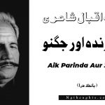 Aik Parinda Aur Jugnoo- Bang-e-Dara | Allama Iqbal Poetry | ايک پرندہ اور جگنو