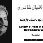 Gulzar-e-Hast-o-Bood Na Beganawar Dekh- Bang-e-Dara | Allama Iqbal Poetry | گُلزارِ ہَست و بُود  نہ  بيگانہ وار ديکھ