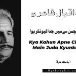 Kya Kahun Apne Chaman Se Main Juda Kyunkar Huwa- Bang-e-Dara | Allama Iqbal Poetry | کيا کہوں اپنے چمن سے ميں جدا کيونکر ہوا