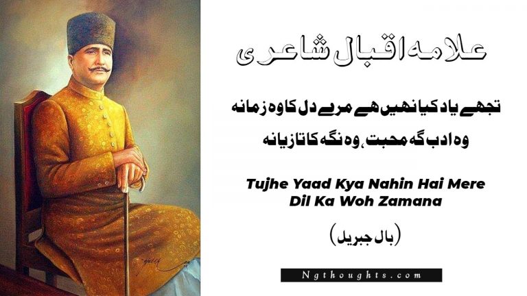 Tujhe Yaad Kya Nahin Hai Mere Dil Ka Woh Zamana