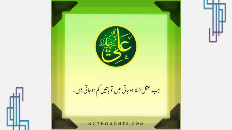 35+ Hazrat Ali R.A Quotes in Urdu With Images – Islamic Quotes