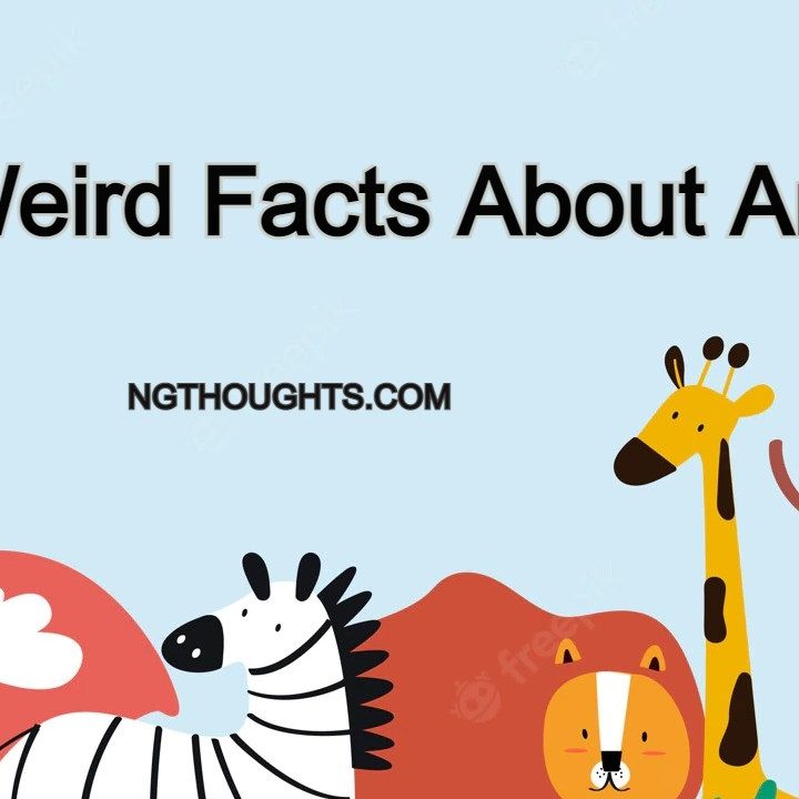 150 Weird Facts About Animals That You Need Know (ngthoughts.com)