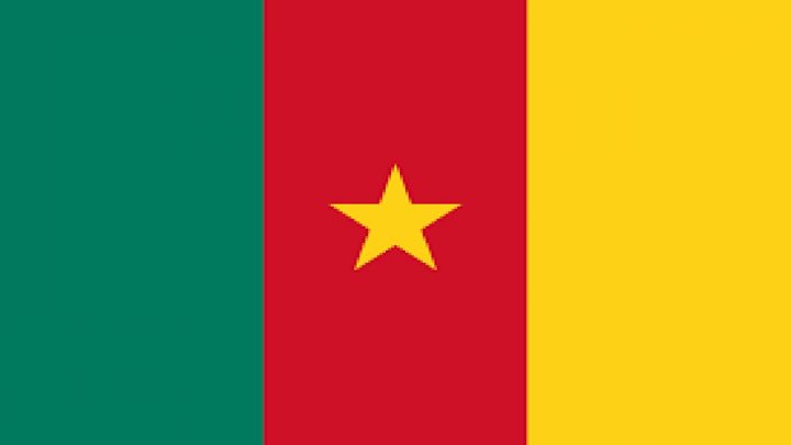 Cameroon Flag