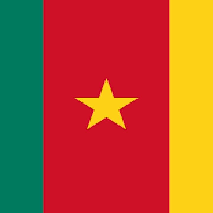 Cameroon Flag