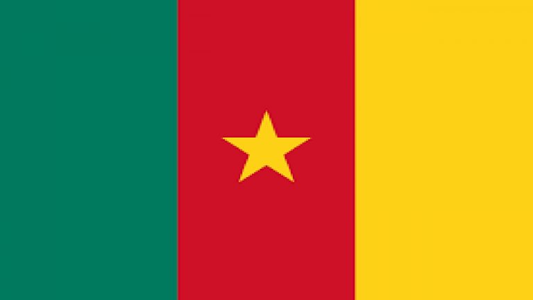 20 Fascinating Facts About Cameroon