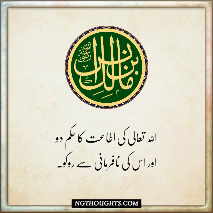 Imam Malik Quotes in Urdu | Islamic Quotes in Urdu