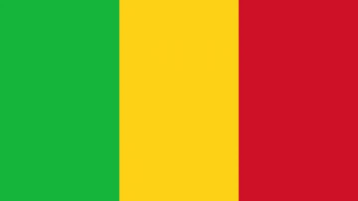 Mali Flag