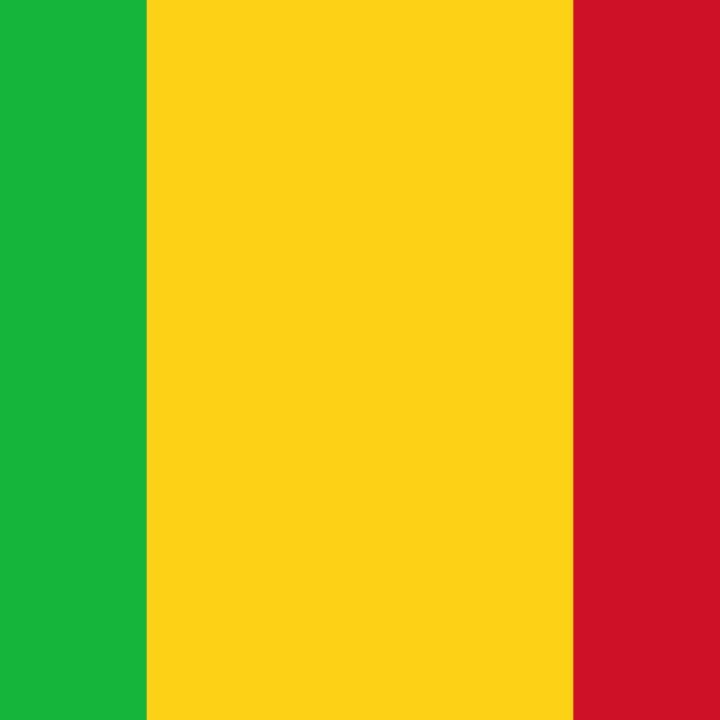 Mali Flag