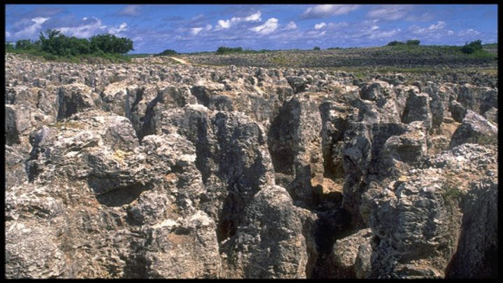 Nauru Phosphate Mining