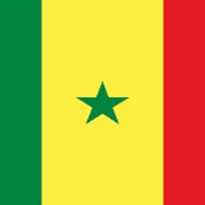 Senegal Flag