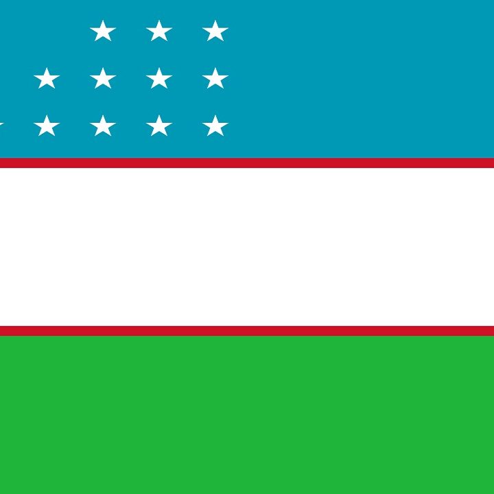 Uzbekistan Flag