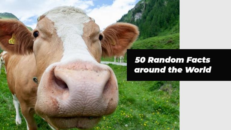 50 Interesting Facts | Random Facts You Didn’t Know