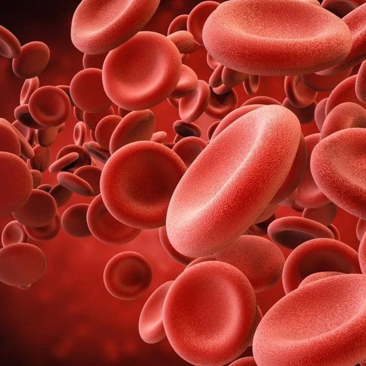 Amazing Facts General Knowledge l Interesting Facts