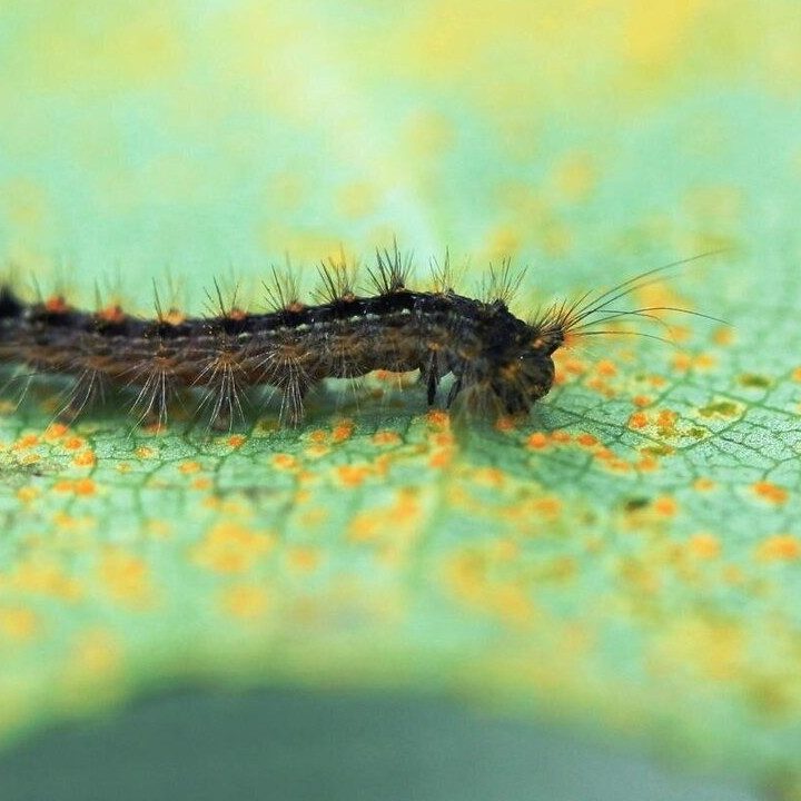 50 World Facts to Boost Your General Knowledge