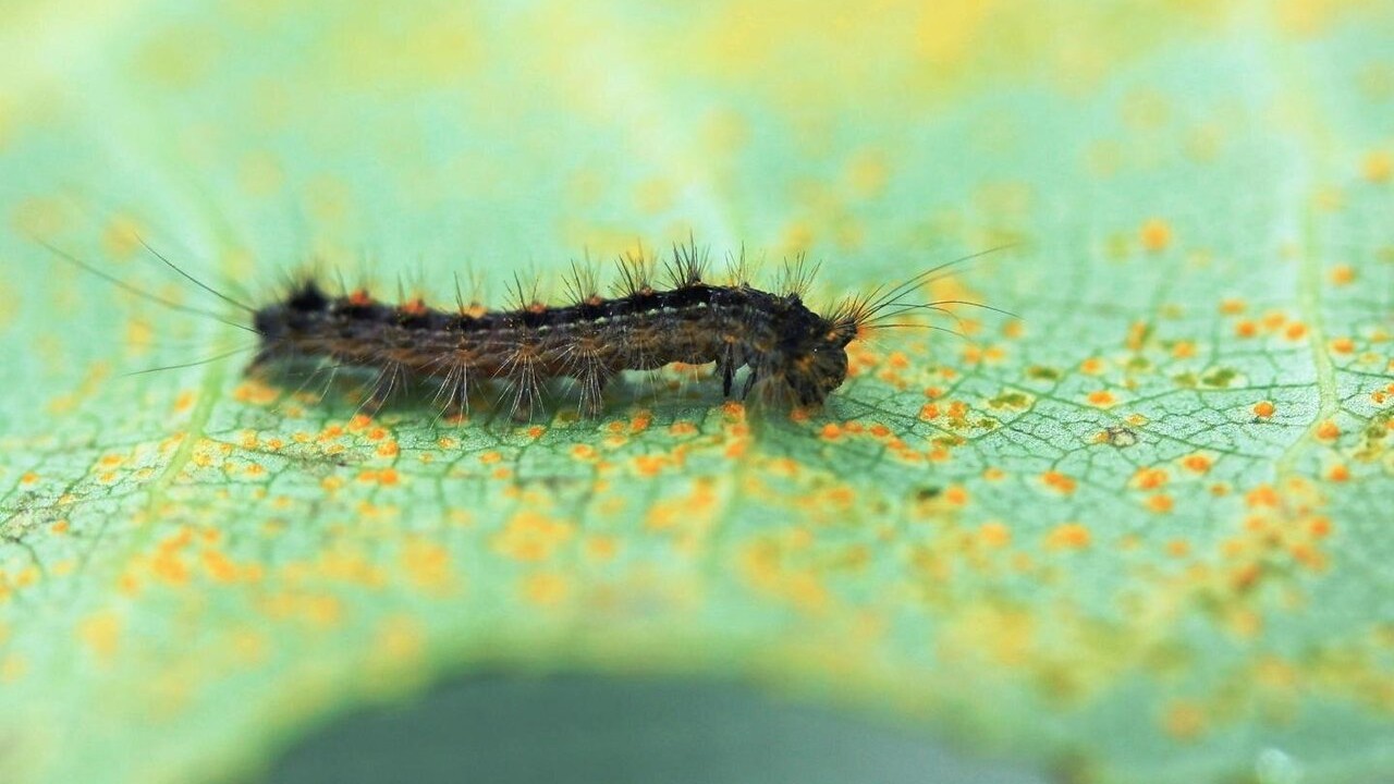 50 World Facts to Boost Your General Knowledge