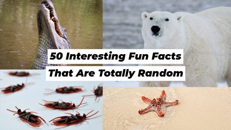 50 Interesting Fun Facts That Are Totally Random