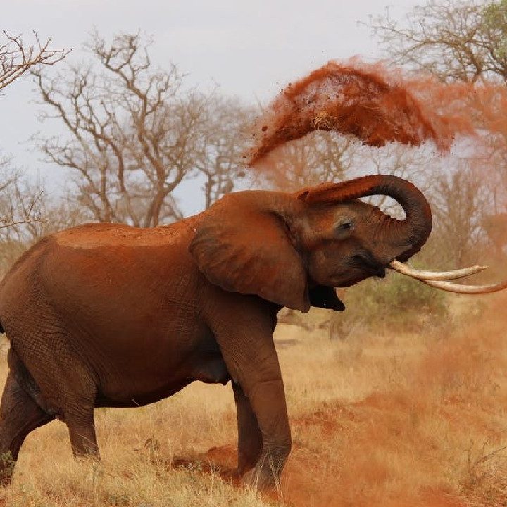 50 Crazy Fun Facts That Will Blow Your Mind