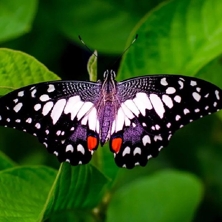 50 Fun and Interesting Facts Around the World