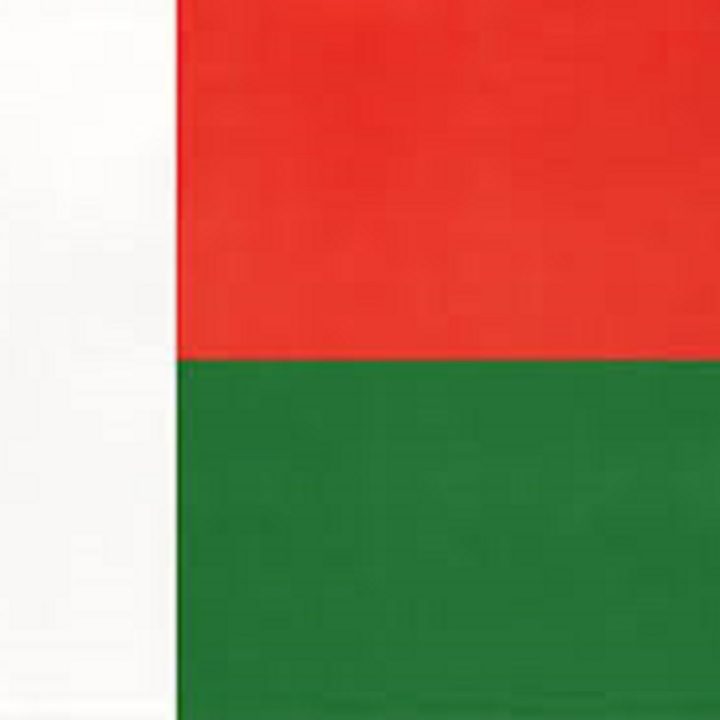 madagascar Flag