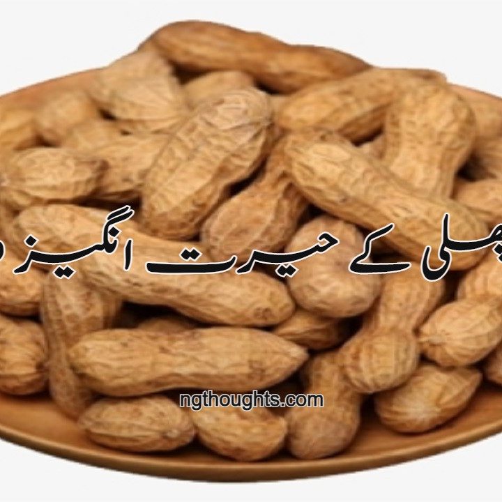  مونگ پھلی کے حیرت انگیز فائدے