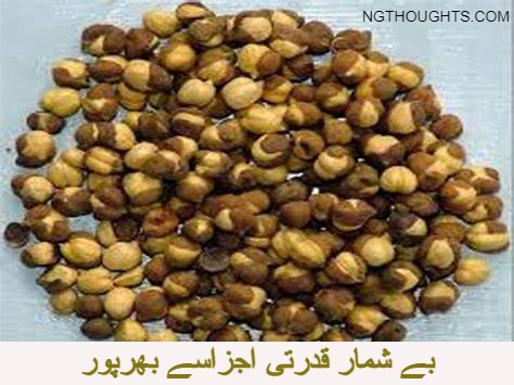 Jismani Quwat Barhany Ka Nuskha | جسمانی قوت بڑھانے کا نسخہ