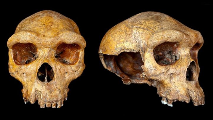 Broken Hill skull Zambia