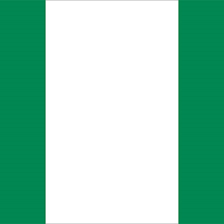 Nigeria Flag