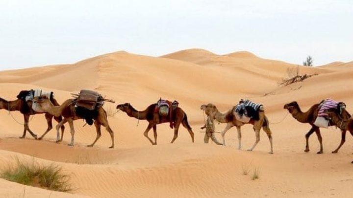 Sahara Desert Tunisia