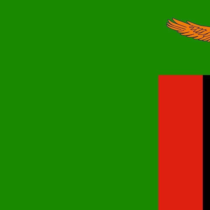 Zambia Flag
