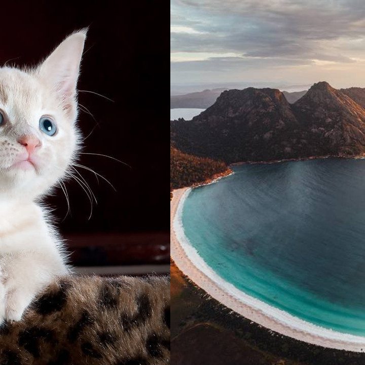 Did You Know Facts: 50 Interesting Facts Collection