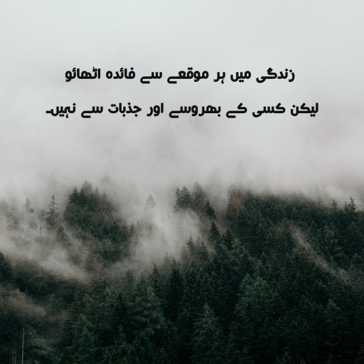 50+ Quotes about Life in Urdu | Best Urdu Quotes on Life