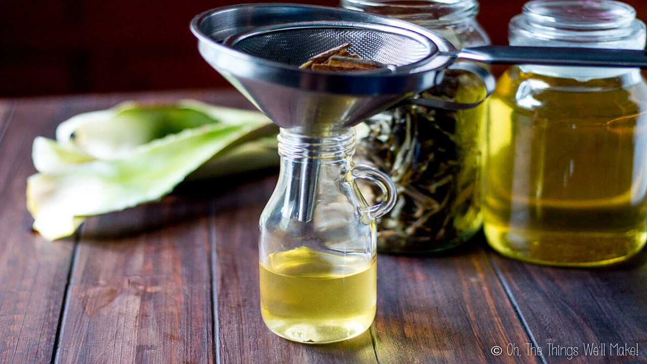 Aloe Vera Ka Tail Banane Ka Tarika Aur Uske Fayde