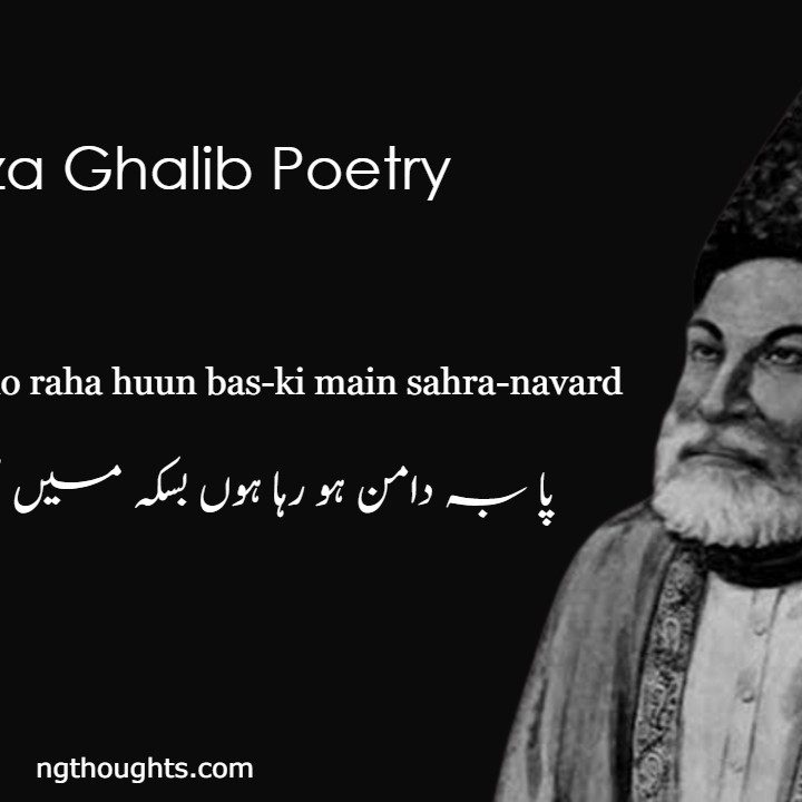 Pa-ba-daman ho raha huun bas-ki main sahra-navard