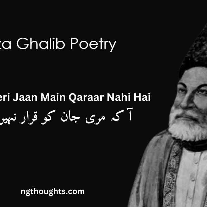 Aa Ke Meri Jaan Main Qaraar Nahi Hai - Mirza Ghalib Poetry
