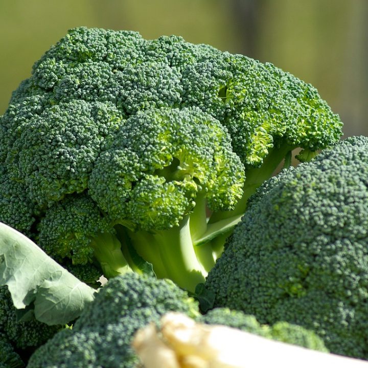Amazing Health Benefits of Broccoli