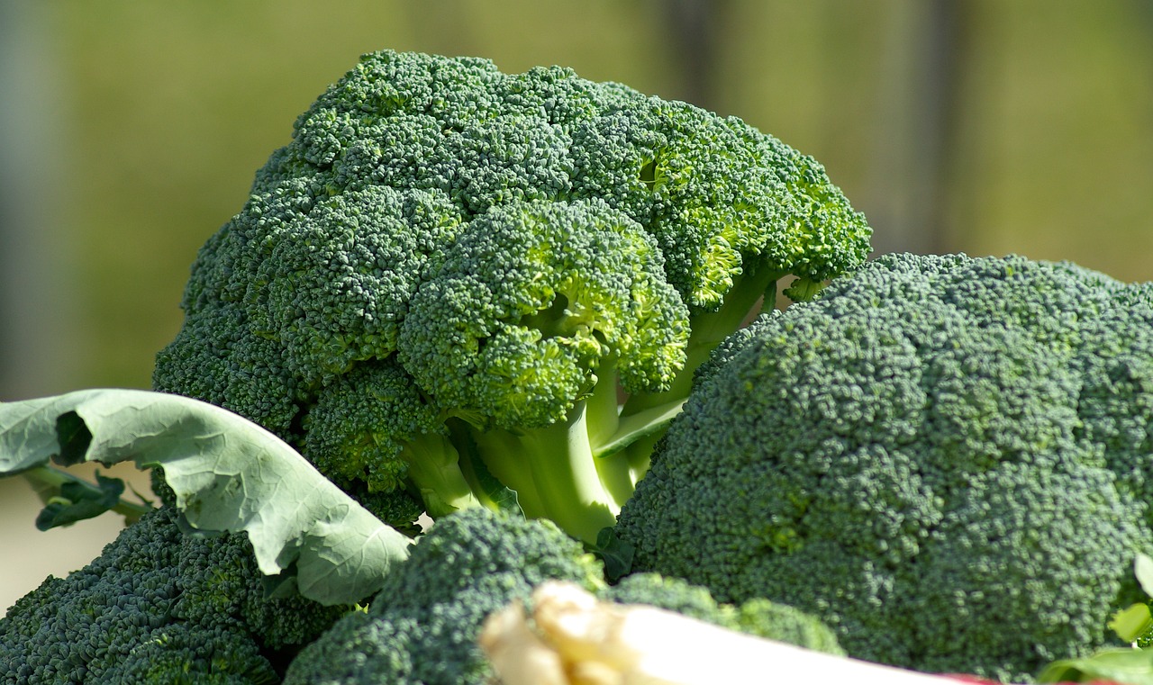 Amazing Health Benefits of Broccoli