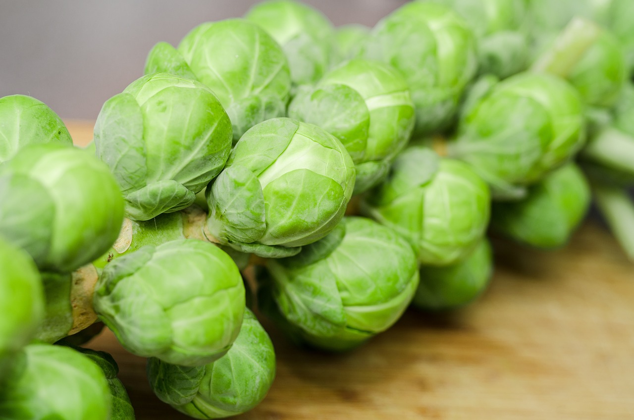 Amazing Health Benefits of Brussels Sprouts