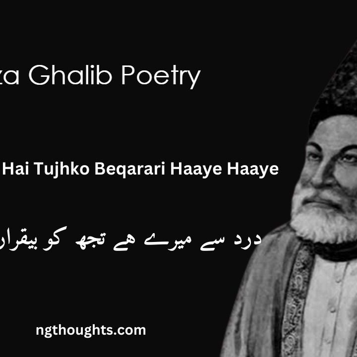 Dard Se Mere Hai Tujhko Beqarari Haaye Haaye - Mirza Ghalib Poetry